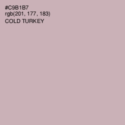#C9B1B7 - Cold Turkey Color Image